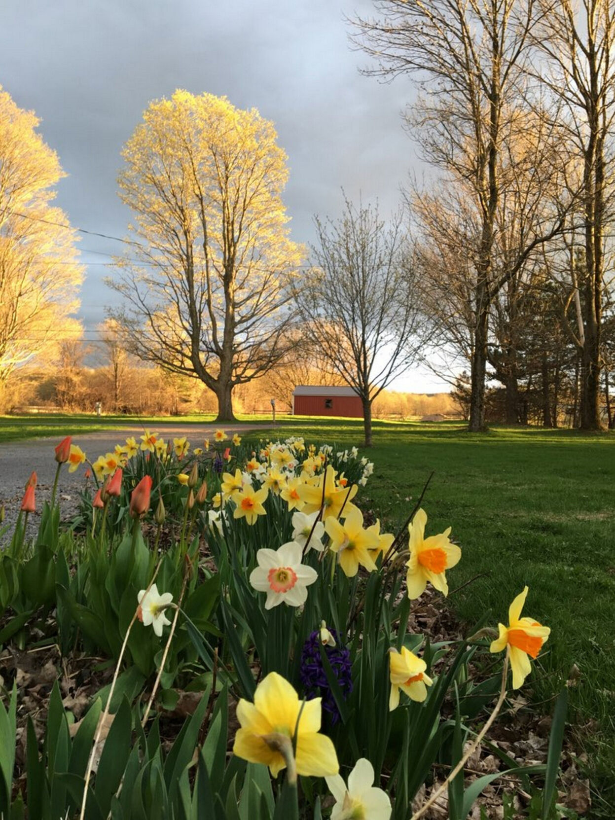 Business is BLOOMING